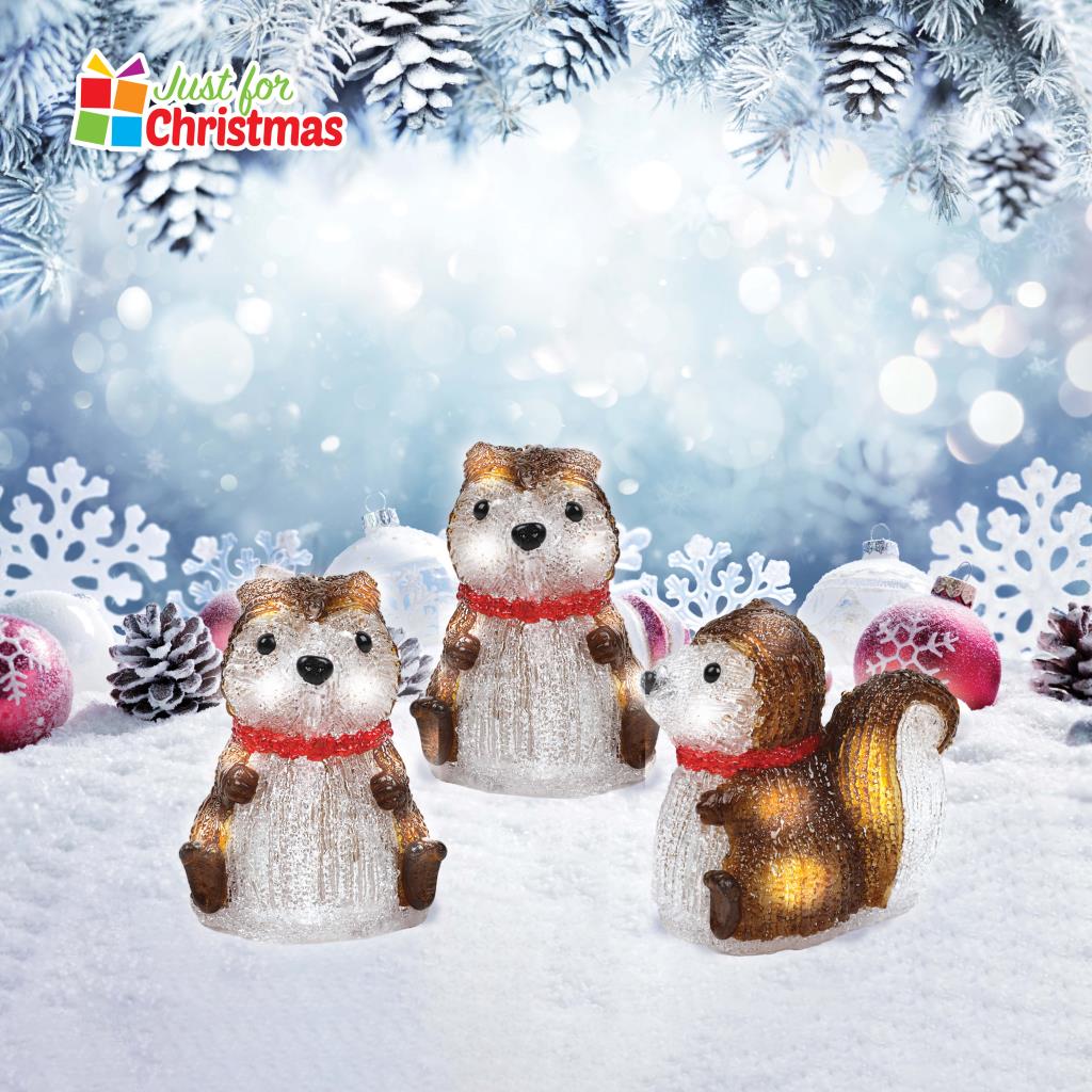 Christmas Ornamental String Fairy Lights Indoor/Outdoor - Penguin/Robin/Squirrel Christmas Ornamental String Fairy Lights Indoor/Outdoor - Penguin/Robin/Squirrel